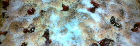 малиновый пирог