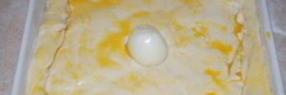 мясной пирог с барбарисом