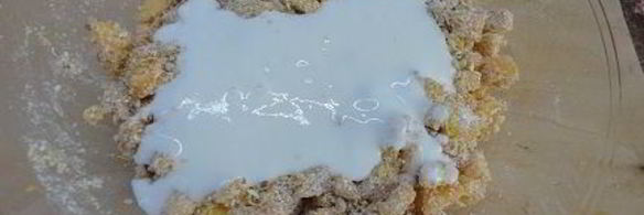 овсяной пирог с персиками