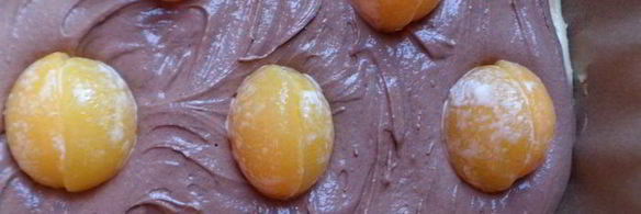 пирог с абрикосами и взбитыми сливками