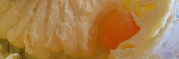 пирог с абрикосами и взбитыми сливками