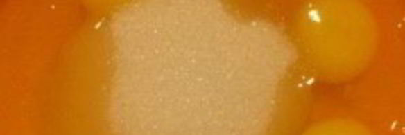 пирог с киви в мультиварке