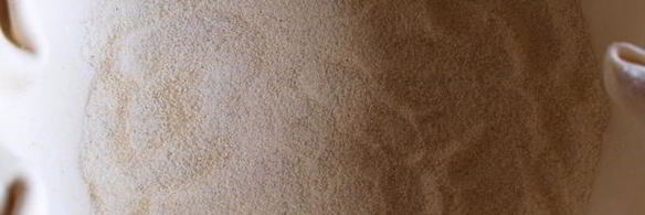 пирог со сливами в карамельной заливке