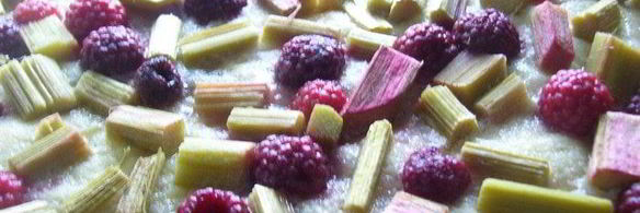 сдобный пирог с ревенем и малиной