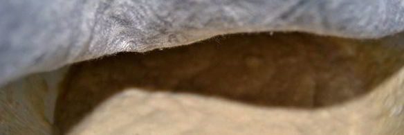 сдобный пирог со сливочно-ореховой начинкой и черной смородиной