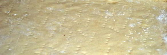 сдобный пирог со сливочно-ореховой начинкой и черной смородиной