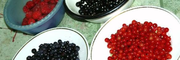 творожный пирог четыре ягоды