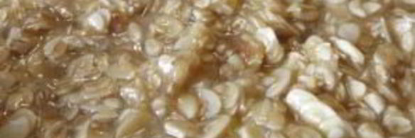 творожный пирог с хрустящей корочкой