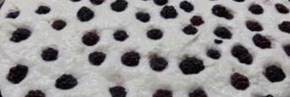 творожный пирог с хрустящей корочкой