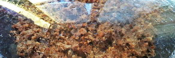 мясные пирожки из хрустящего теста