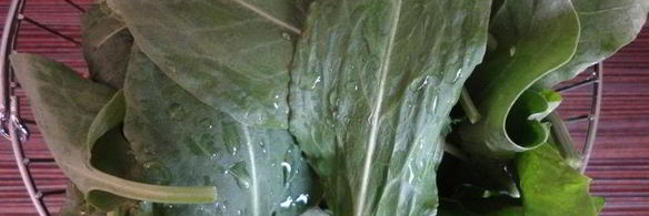 пирожки-мешочки — продолжение щавелевой темы