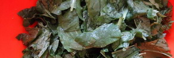 пирожки-мешочки — продолжение щавелевой темы