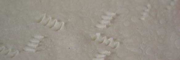 пирожки с изюмом