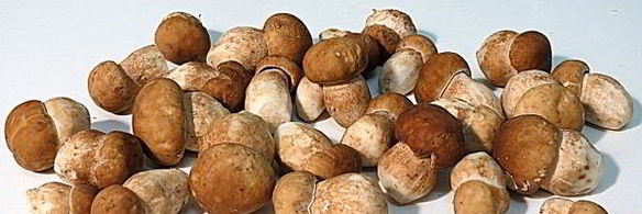 пирожки с картошкой и грибами в духовке