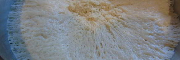 пирожки жареные