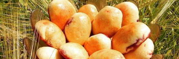 сдобные пирожки с вишней