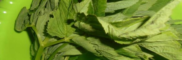 цельнозерновые пирожки со снытью, морской капустой и яйцом