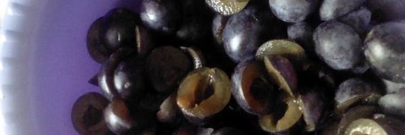 жаренные пирожки со сливами