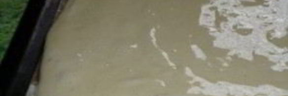 бисквитные пирожные с кремом