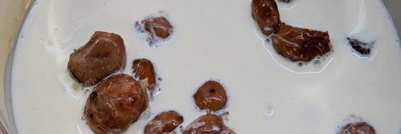 каштановый брауни