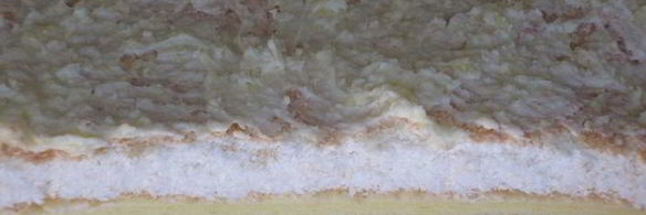 кокосовое пирожное с нежным сливочным кремом