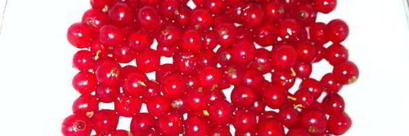 пирожное летняя сказка со смородиной