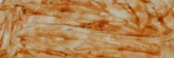 пицца простая без дрожжей