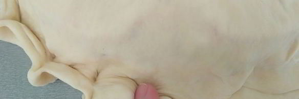 закрытая пицца с курицей и чесноком