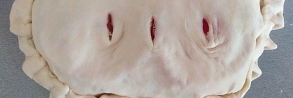 закрытая пицца с курицей и чесноком