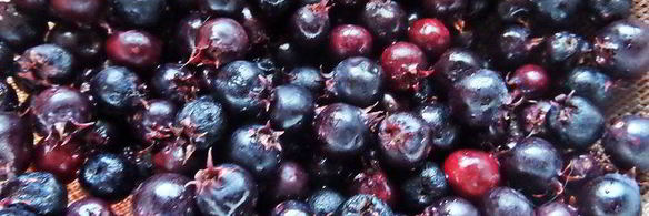 хлебная шарлотка яблочно-ягодная