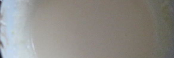 шарлотка с грецкими орехами