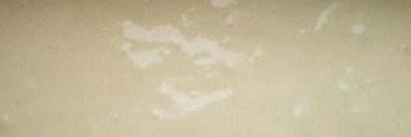 шарлотка с лимоном