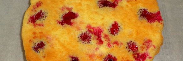 шарлотка со сливами