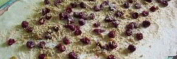 вишневый штрудель