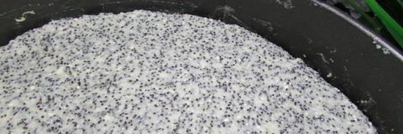 немецкий маковый творожник