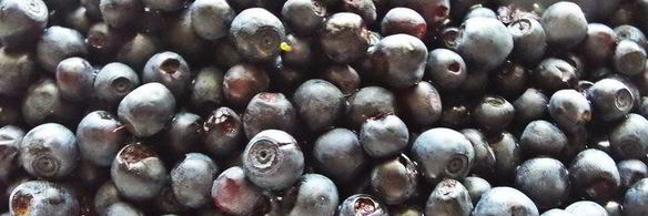 песочники с черникой