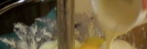 сырник трехцветный