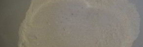 тесто без дрожжей