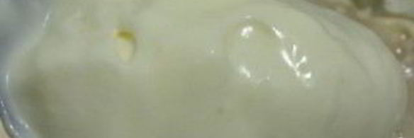 тесто на майонезе для пиццы