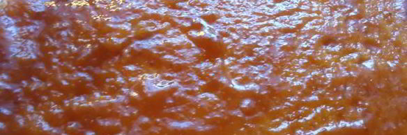 бисквит с абрикосовой пропиткой