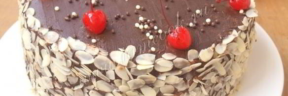 бисквитный многослойный торт