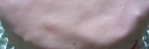 торт из манки