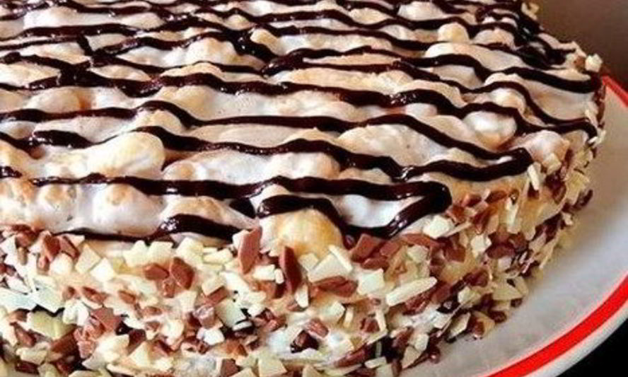 Рецепт торта из печенья дамские пальчики со сметанным кремом