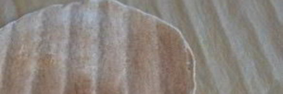 торт эстерхази