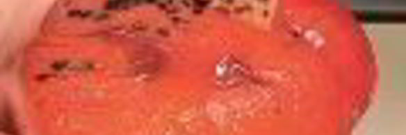 закусочный торт с овечьим сыром