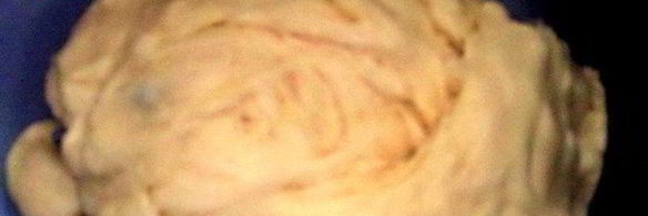 венгерский ореховый рулет