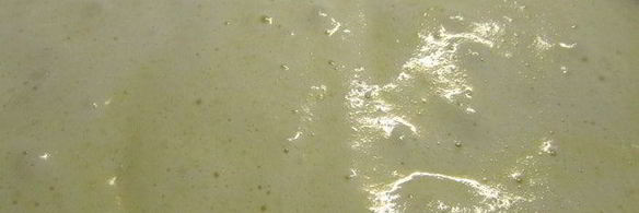 весенний рулет