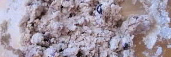 выпечка с черникой