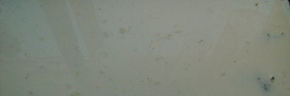 запеканка из куриных рулетиков с грибами под сливочной заливкой