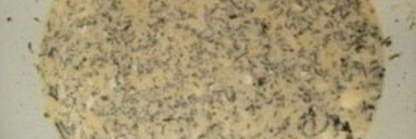 запеканка из цветной капусты в духовке